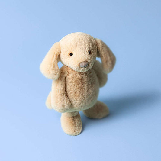 Bashful Luxe Puppy Orlando Original - Caitly