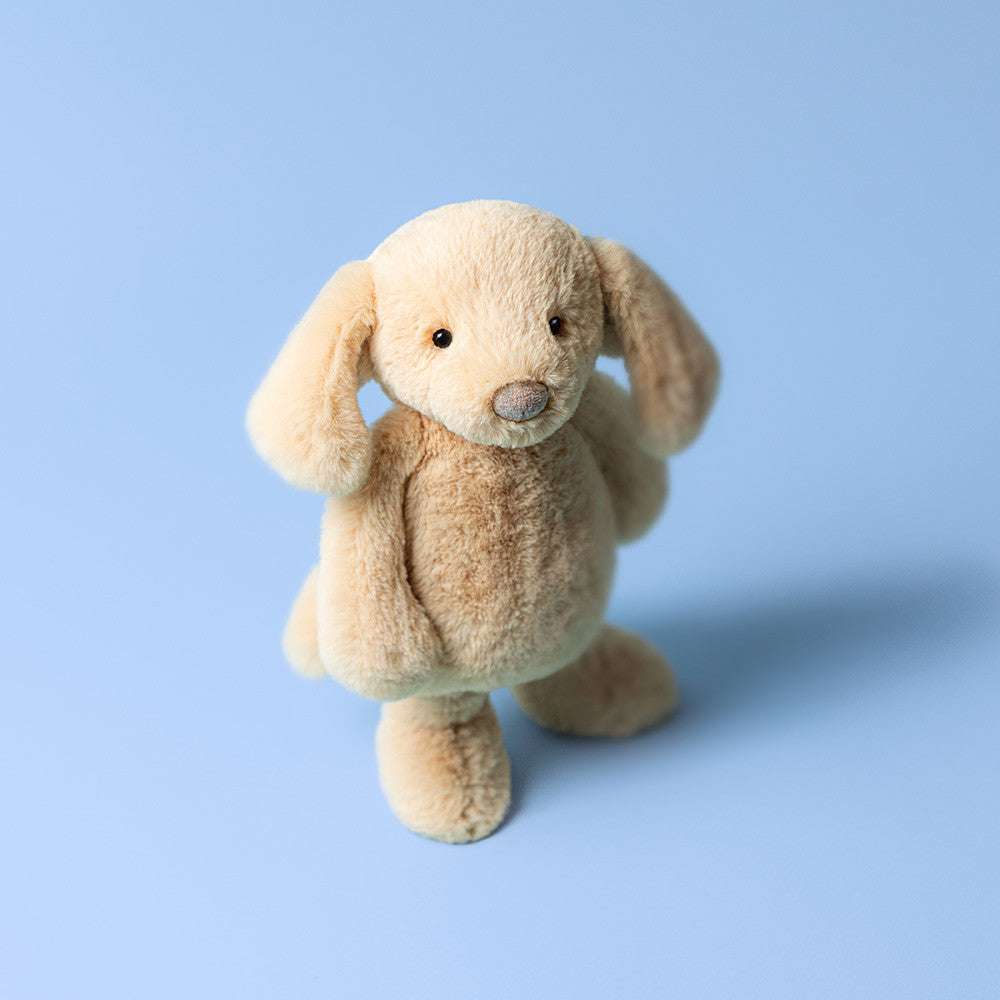 Bashful Luxe Puppy Orlando - Caitly
